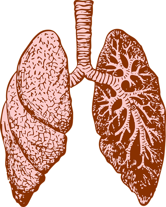 Lung Infection