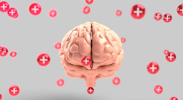 Symptoms and Treatment of Multiple Sclerosis