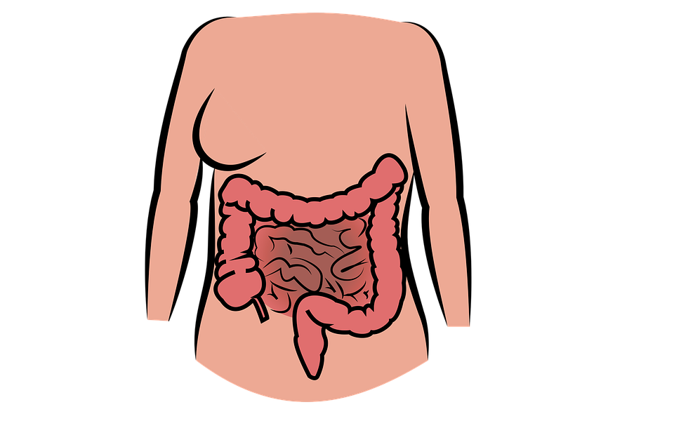 Hepatic Steatosis -Symptoms and Remedies