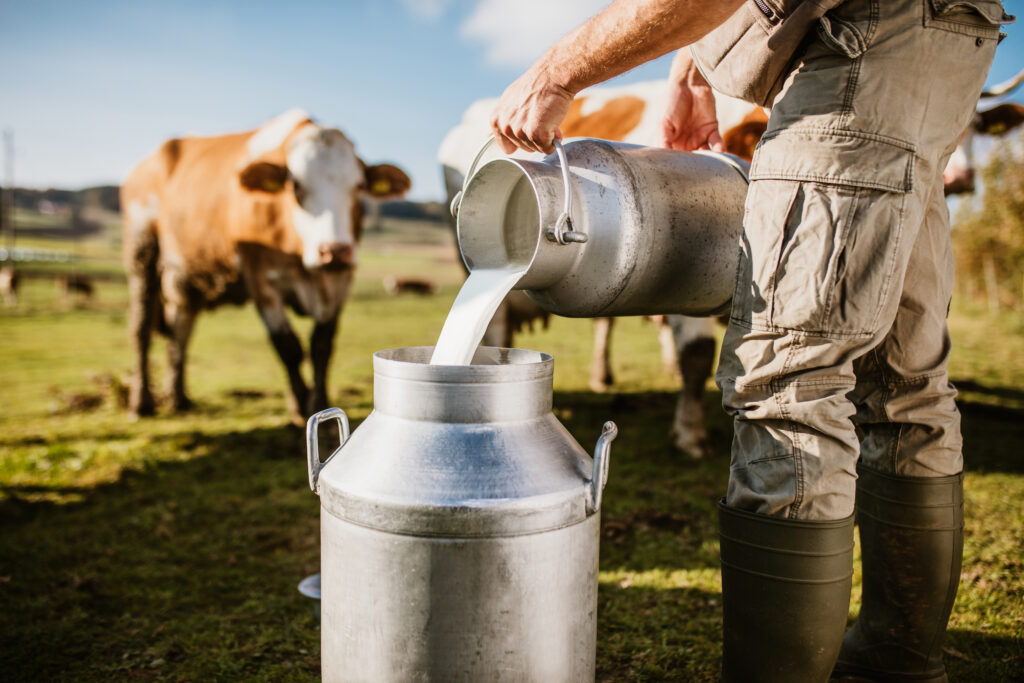 5 Reasons to Stop Drinking Cow’s Milk