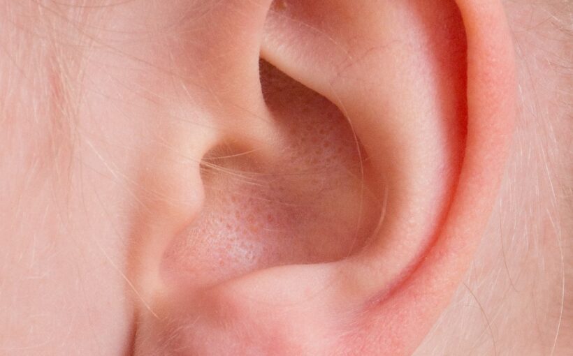 Ear