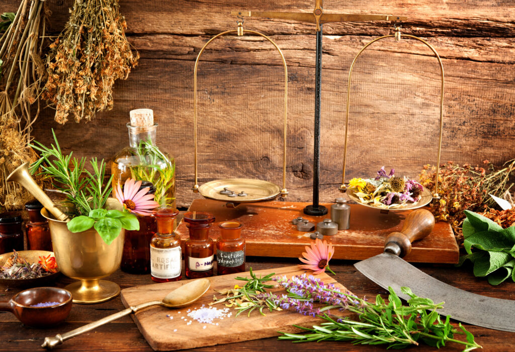 Naturopathy: A Holistic Approach to Health and Healing