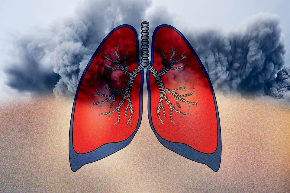 Ready to Breathe Easy? Discover How to Quit Smoking